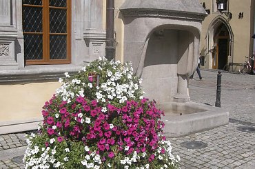 Fontanna przy ratuszu we Lwówku śląskim #LwówekŚląski #DolnyŚląsk #fontanna