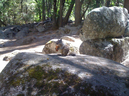 Park Yosemite