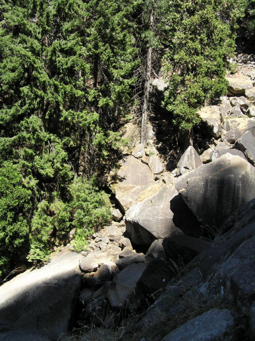 Park Yosemite