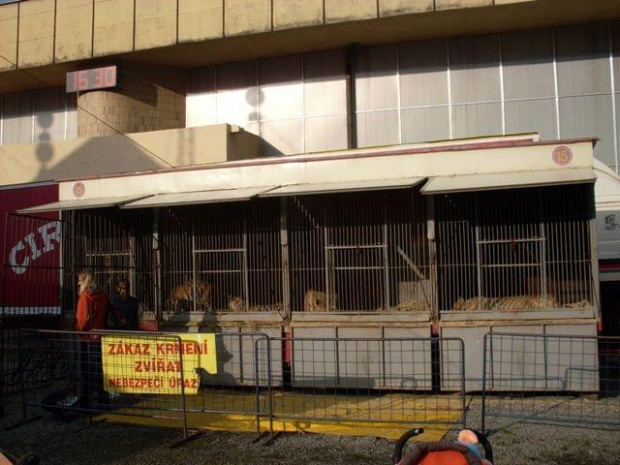 NRODNI CIRKUS ALES BARLAY-2010 Zapraszamy na www.portalcyrkowy.ubf.pl #cyrk #czeski #klown #portal #kmc #portalcyrkowy #cyrkowy #cirkus #alex #baraley