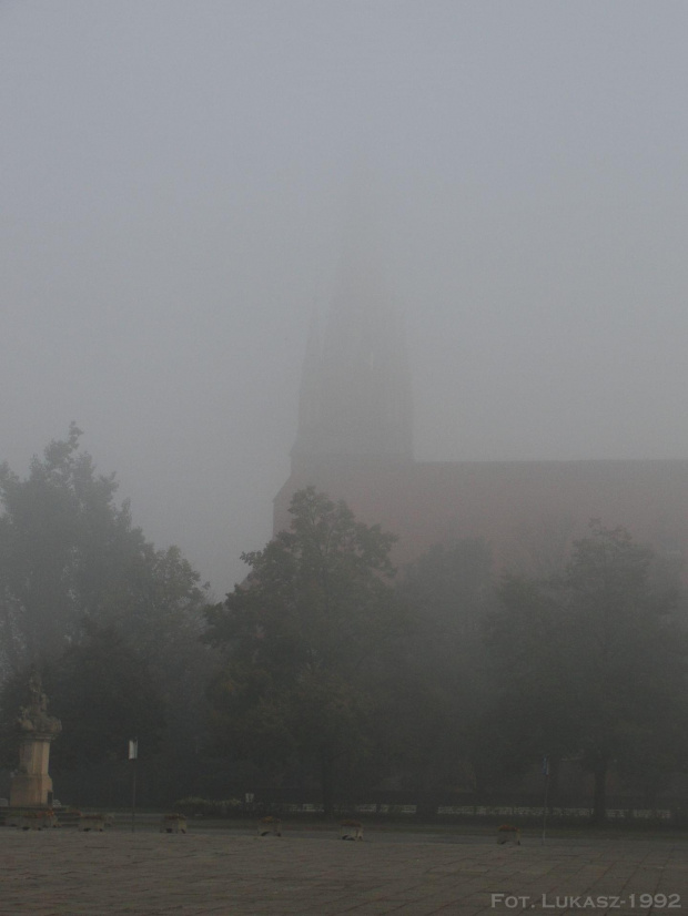 A mgłę....również uwielbiam, choć stwarza niebezpieczeństwo na drogach. Mgła - Racibórz, Śląskie #Mgła #fog #Racibórz #raciborz #Śląskie #slaskie #mleko #poranek #jesień