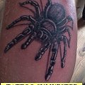 pająk tattoo #Tatuaz #tattoo