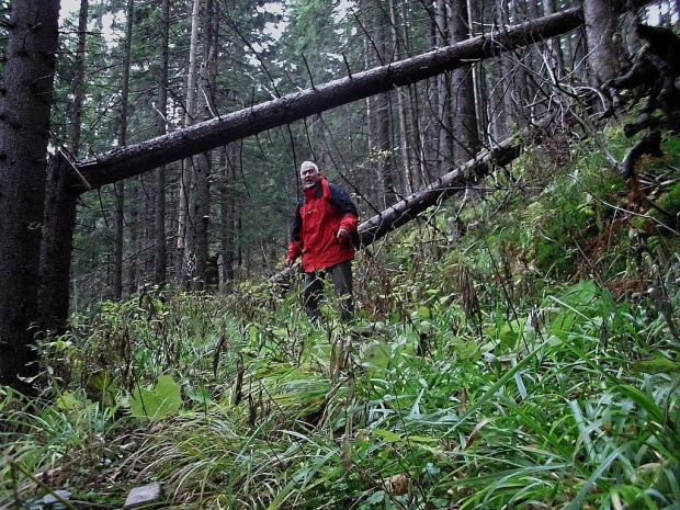 jedna, nieco długa wycieczka tatrzańsko-podhalańska z przygodami #Tatry