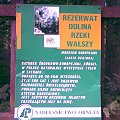 Pieniężno - Rezerwat "Dolina Rzeki Wałszy" - tablica.