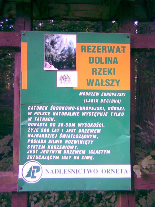 Pieniężno - Rezerwat "Dolina Rzeki Wałszy" - tablica.