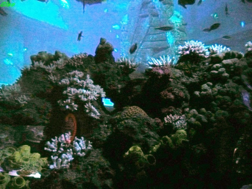 06.08.2008