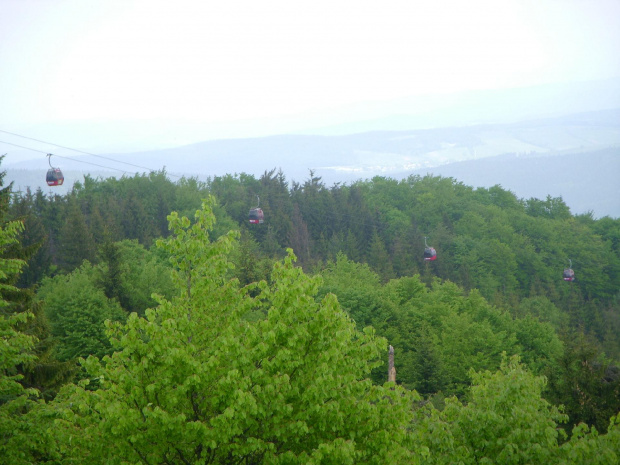 Jaworzyna Krynicka 1114 m. n. p. m.