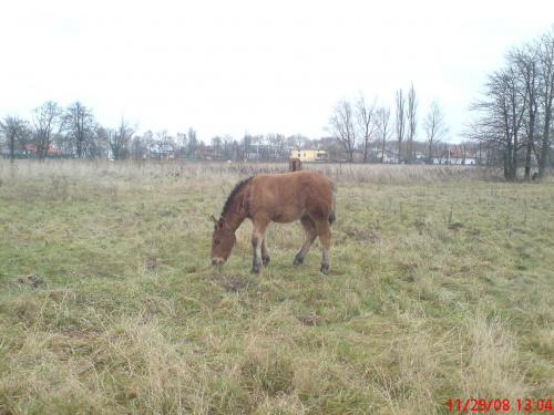 Kalinek ^^ synek mojej Misi