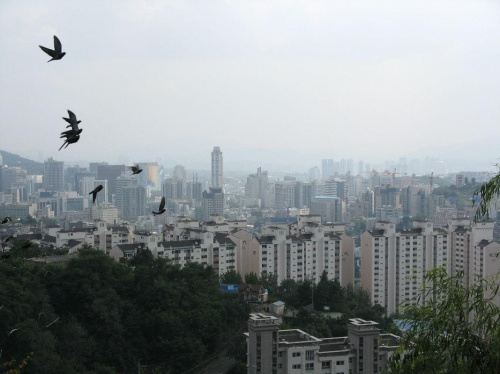 Przypadkowe widoczki z wielkiego miasta #seul #korea #miasto #azja