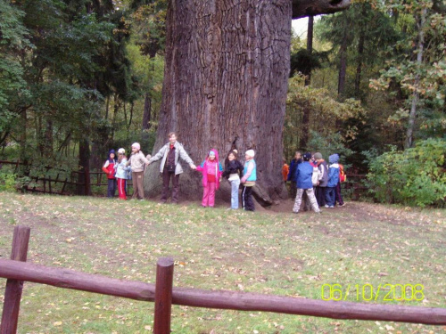 Przemkowski Park Krajobrazowy - szkolna wycieczka 2008