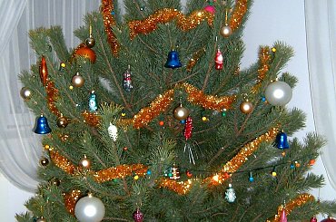 Drzewko Świąteczne
Bożonarodzeniowe
2008/2009 #swieta #święta #hoinka #choinka #drzewko #wigilia #stół #StółWigilijny #lampki #BożeNarodzenie #christmas #karp #kolacja #bombki #ozdoby #kolęda