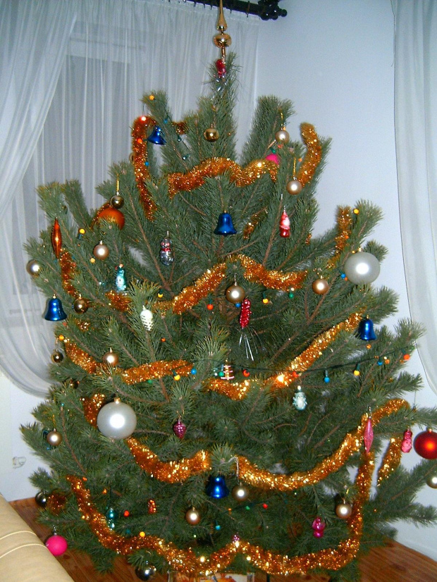 Drzewko Świąteczne
Bożonarodzeniowe
2008/2009 #swieta #święta #hoinka #choinka #drzewko #wigilia #stół #StółWigilijny #lampki #BożeNarodzenie #christmas #karp #kolacja #bombki #ozdoby #kolęda