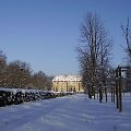 8 01 2009 zima w parku #ballestrem #kochcice