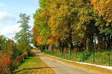 #jesień #sorux #piękno #droga