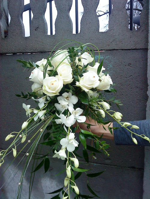 kwiaciarnia w szczecinie z dowozem tel.666044974 #BukietyWiązankiKwiaty