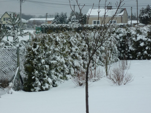 #Zima #wioska #śnieg #futrzaki