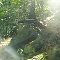 Przełom Pełcznicy w Książańskim Parku Krajobrazowym #Wałbrzych