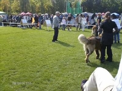 #leonberger #AptekaNatury