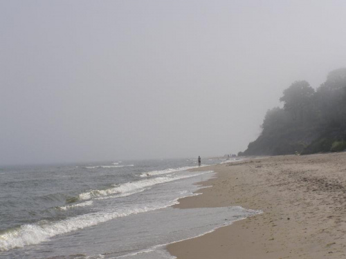 Mgła na plaży ...