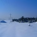 Zima w Osieku/k.Olkusza #drzewa #działka #gladz #gładkośc #gładź #ŁadnyDzień #mroz #mróz #natura #niebo #piękno #pole #połac #slonce #słońce #snieg #spokój #szron #widok #zaspy #zima