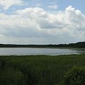 POLESIE - Sobiborski Park Krajobrazowy, rezerwat Żółwiowe Błota #Polesie #SobiborskiParkKrajobrazowy #jezioro