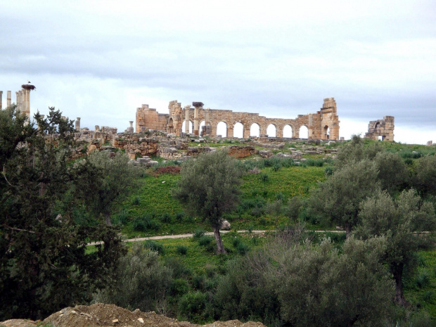 Volubilis - starożytne rzymskie miasto #Maroko #Volubilis