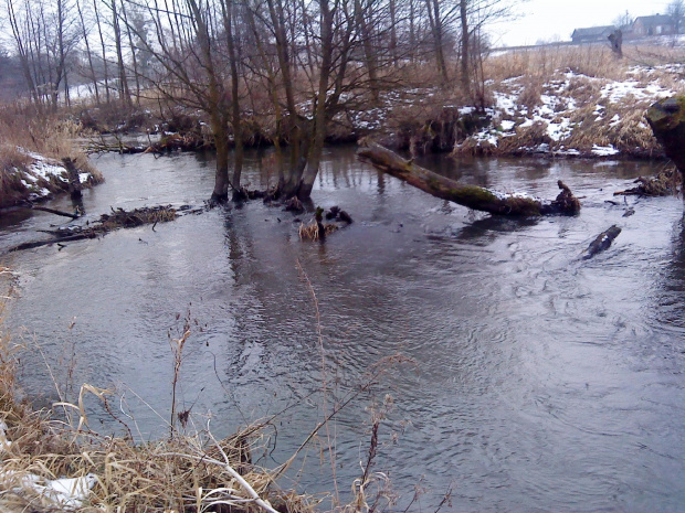 RZ.Wieprz #Michalów #roztocze #rzeki #wędkarstwo