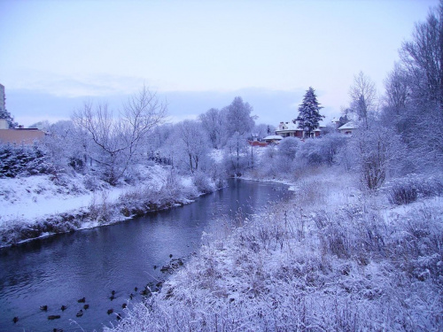 #zima #śnieg #Mazury #mróz #natura #las #przyroda #krajobraz #rzeka #Łyna #Olsztyn