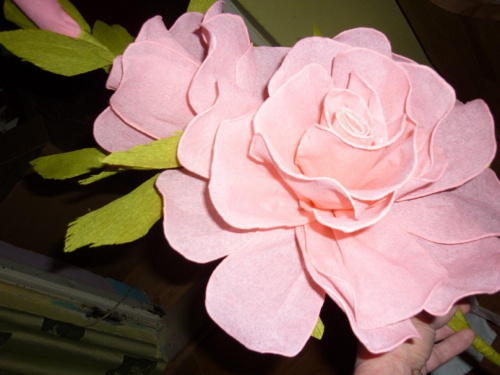 kwiat wysoki różowy