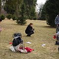 freci spacerek w parku Grabiszyńskim 13-03-2011 #fretka #fretki #kicia #spacer #spatkanie #ParkGrabiszyński