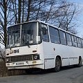 #Ikarus260