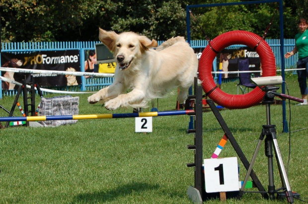 PP Agility Białystok 22.07.2007