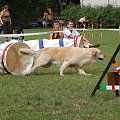 PP Agility Białystok 22.07.2007