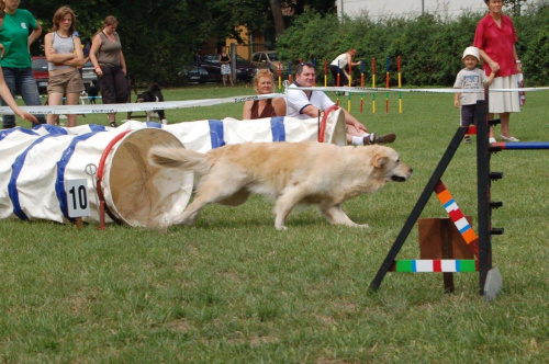 PP Agility Białystok 22.07.2007