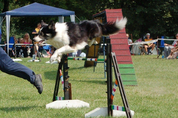 PP Agility Białystok 22.07.2007