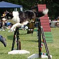 PP Agility Białystok 22.07.2007