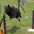 PP Agility Białystok 22.07.2007