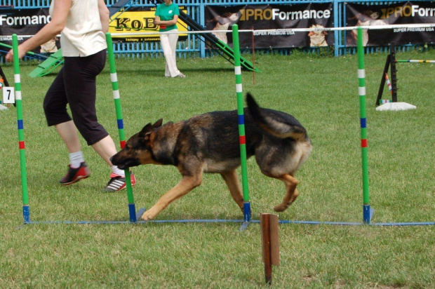 PP Agility Białystok 22.07.2007