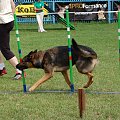 PP Agility Białystok 22.07.2007