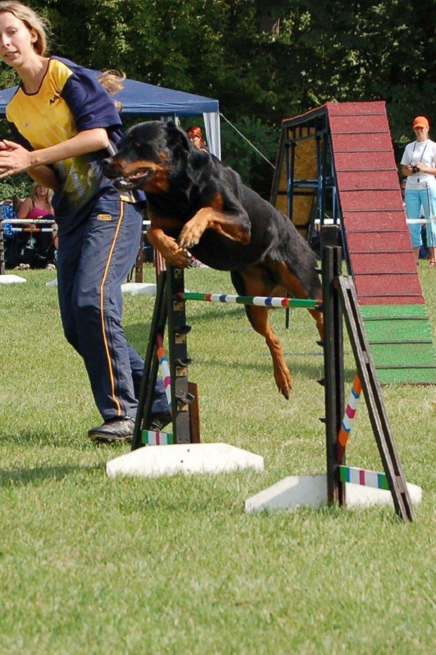 PP Agility Białystok 22.07.2007