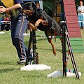 PP Agility Białystok 22.07.2007