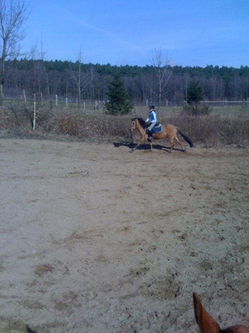 galop na Graniku
z dzis