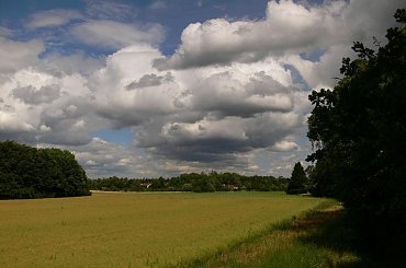 Znowu nadciagaja chmury , ale czy bedzie padac ? Jak to mowia z duzej chmury maly deszcz.... #chmury #laki