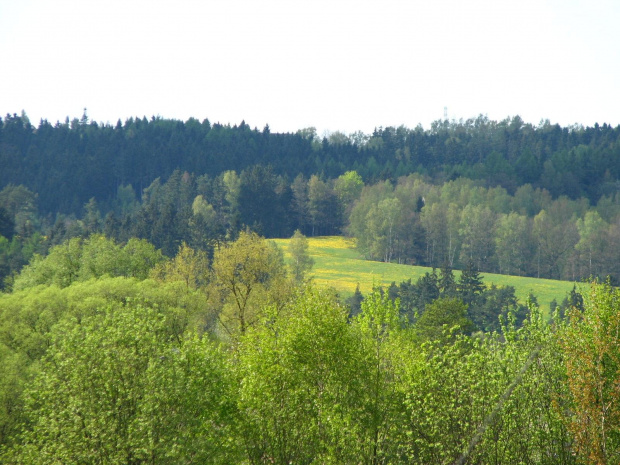 Wolibórz 01-04.05.2008