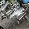 #Mz150