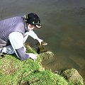 catch and relase