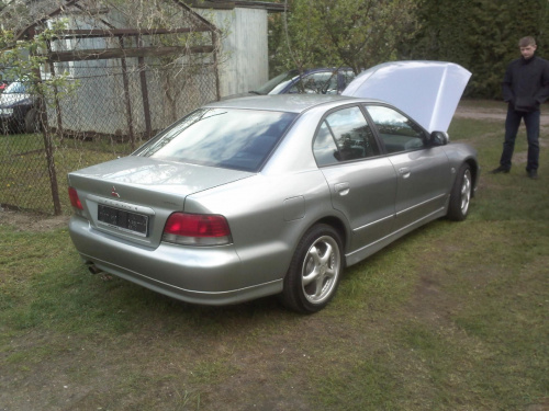 Tył