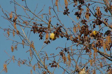 Pierwszy dzień wiosny #Wałbrzych