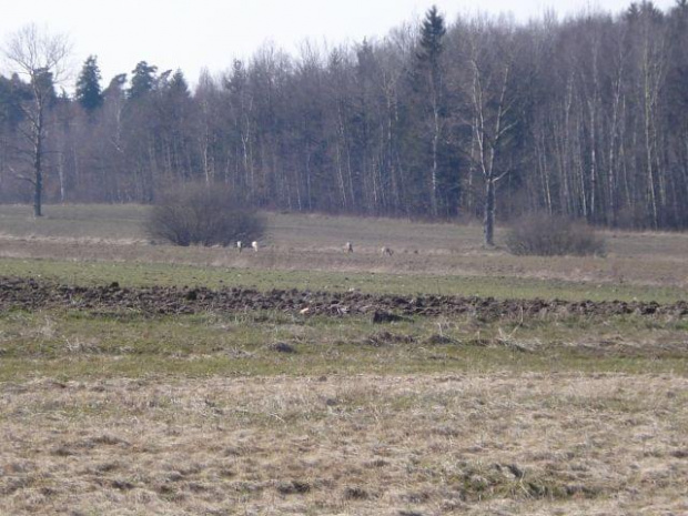 dolnośląskie