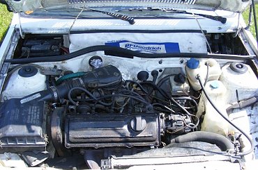 Rost, Rat, Cult, #Rost #Rat #Cult